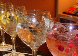 Cata Gintonics Despedidas Tarragona 2025 Cata Gintonics Despedidas Tarragona 2025