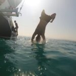 Baño en alta mar Salou